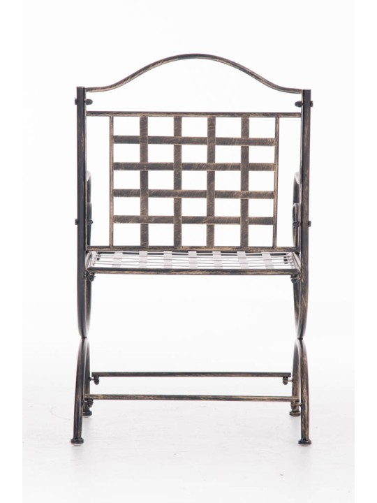 Voorzitter Lotta, brons