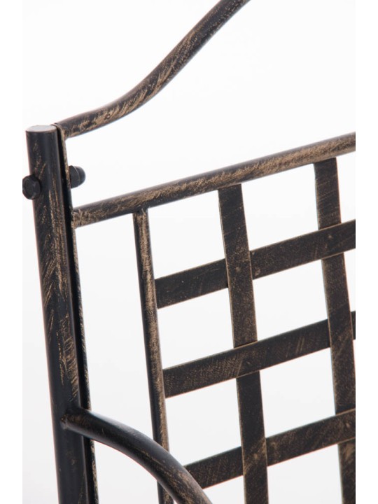 Voorzitter Lotta, brons