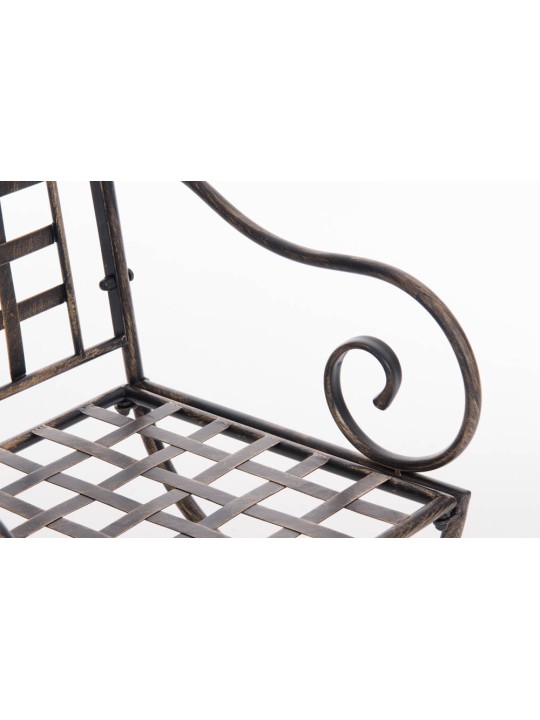 Voorzitter Lotta, brons