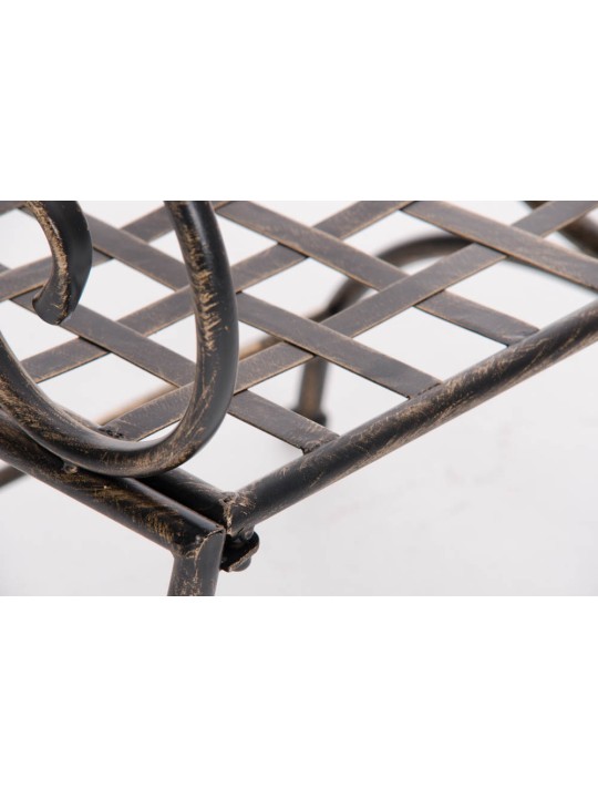 Voorzitter Lotta, brons