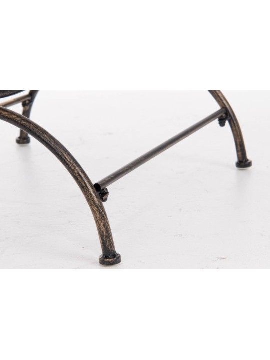 Voorzitter Lotta, brons