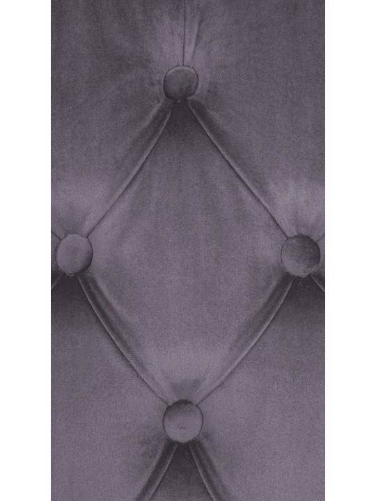 Set van 2 eetkamerstoelen Lisburn fluweel, donkergrijs