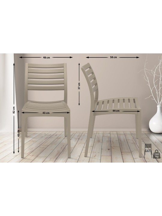 Ares-voorzitter, modderkleur