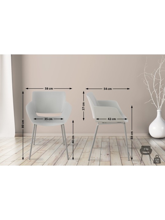 Set van 2 stoelen Alpena, lichtgrijs